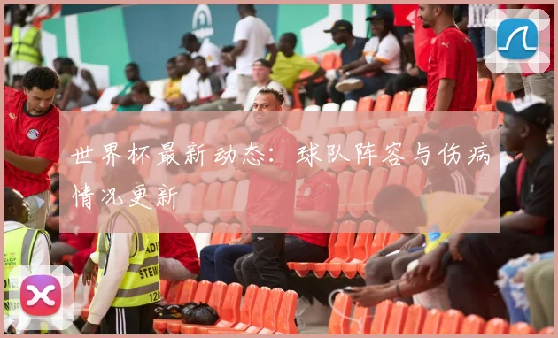 世界杯最新动态：球队阵容与伤病情况更新